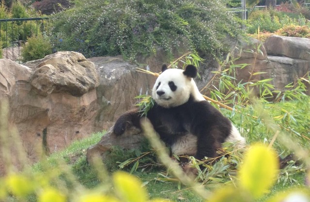 Domaine du Mont des Chênes