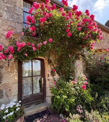 Domaine les roses du vieux chai