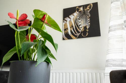 Douillet 2 pièces proche de Paris et de Disneyland