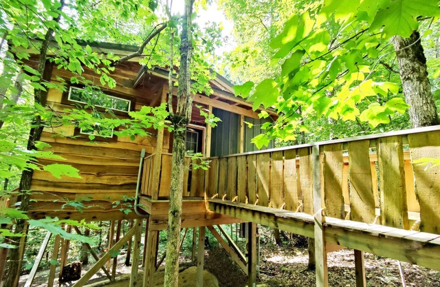 Dove Treehouse: Treetop Bliss on Monteagle