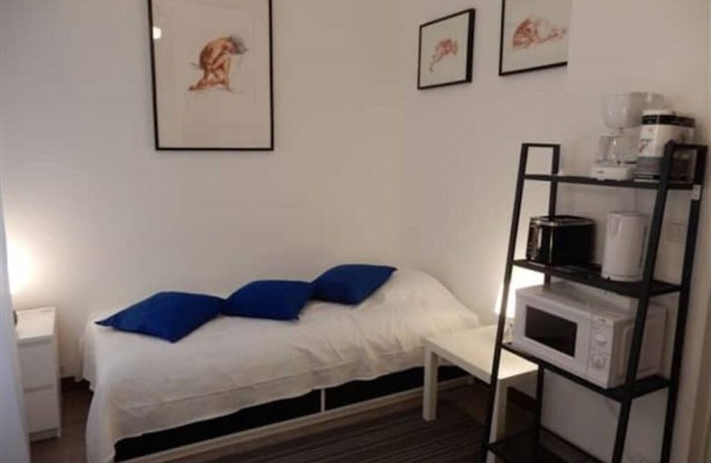 Downstairs nature studio