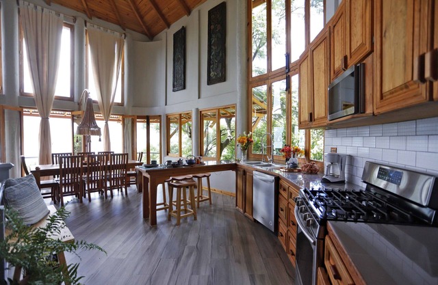 Dramatic new home, close to center, STUNNING views! Now with Starlink Internet!