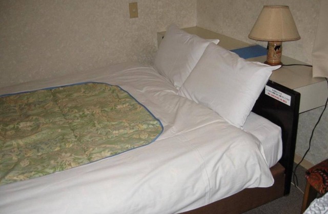 Duble room double bedroom nonsmoking/Taito-ku Tokyo
