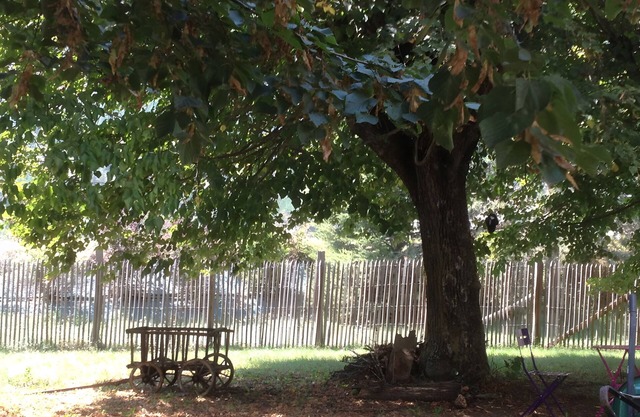 Eco-Logis du Clos des Tilleuls Gîte with Mountain View, Shared Terrace and Garden