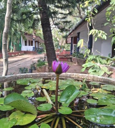 Eco Nature Lodge - Habarana