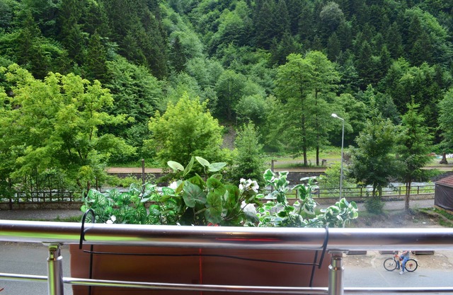 Ecrin Hotel Uzungol