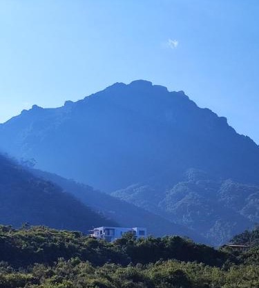 El Color de Mis Rêves