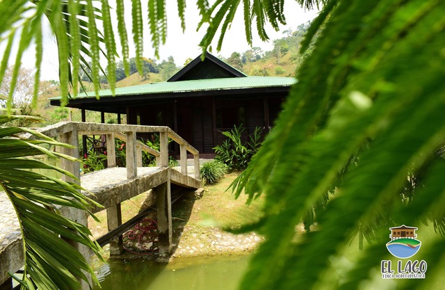 El Lago - farmhouse farm