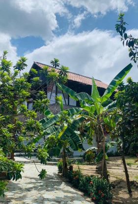 El Paraiso de Carmen