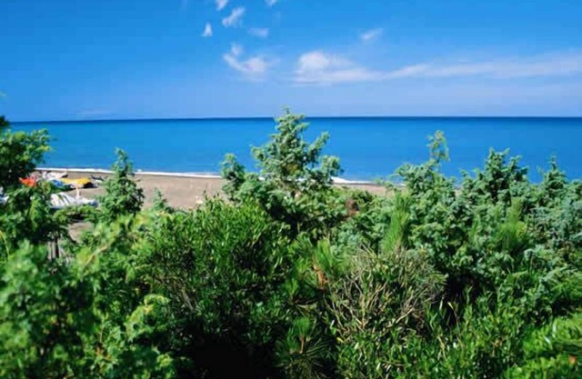 Elegant apartment a few miles from the sea Bolgheri, Tuscany