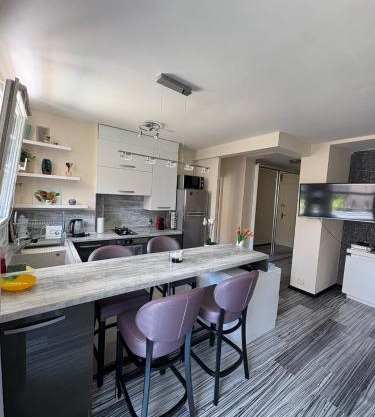 Elegant Apartment Terrace Port of Nice