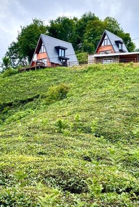 Elit Bungalov