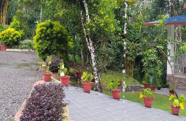 Enchanting 4-bedroom farm house in Thekkady,Kumily,Kerala Idukki. A spiceFarm