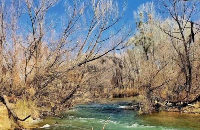 Enjoy a Hassle Free and Suiting Stay! Pets Allowed, Near Grand Canyon Tours!