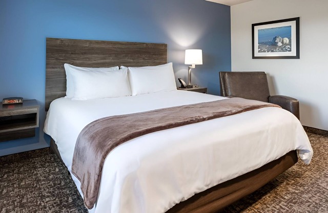 Enjoy Full Kitchen & Outdoor BBQ Grill in a Pet-Friendly Room Near Restaurants