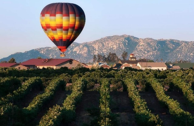 Enjoy the California Sunshine! Nature Escape in Signature Temecula! Free Parking