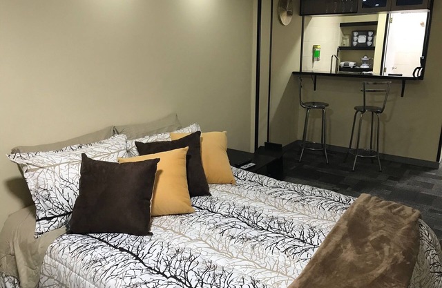 Entire Apartment Zona Rosa