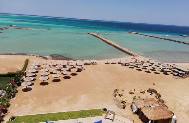 Entire One Bedroom apartment in Turtles Beach Resort