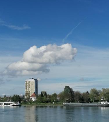 Entre 2 Rives Strasbourg-Kehl