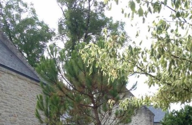 Entre Golfe et Océan