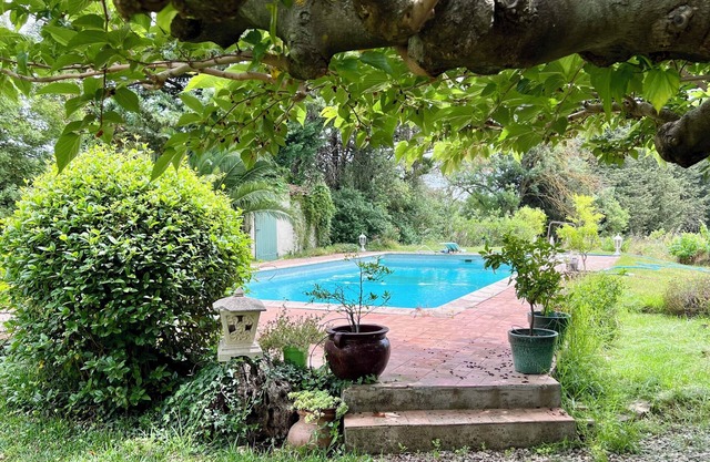 Escape to Provence: a charming cottage in the heart of olive groves