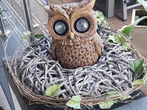 Eulennest im Souterrain