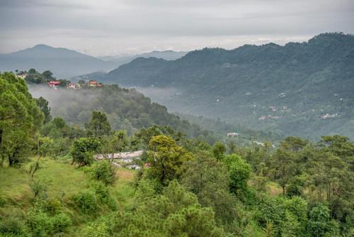 Exotic Stays I The Mountain Peak I Guaranteed Best Price I Vacations I Family Events I Pet friendly & Serviced Apts I Kasauli
