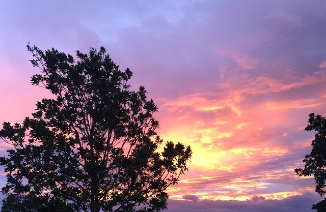 Experience the magic of the Colombian mountains at "Casa Frida"