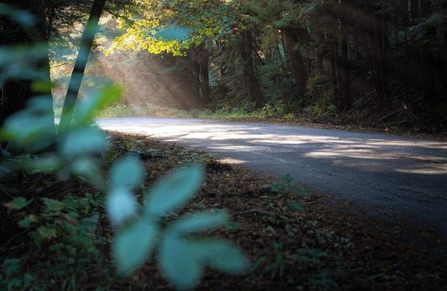 Explore Silicon Valley in comfort from our all suite