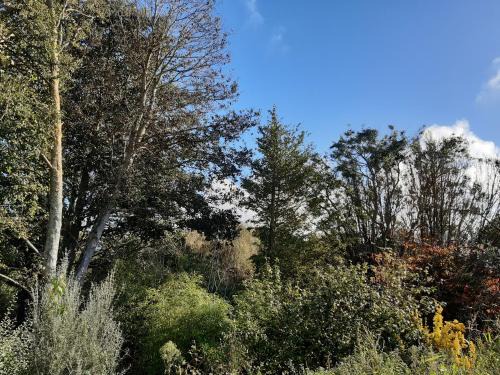 F2 Centre Bourg à 10min GR34 et plages