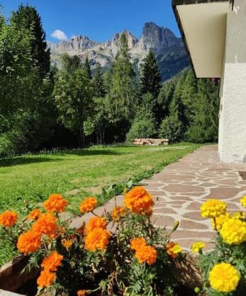 Falcade Dolomiti La Quiete piano terra