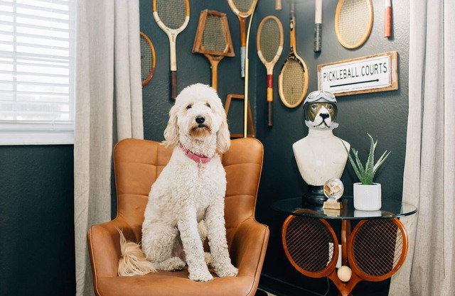 Fall Fun in Tampa - Backyard Pickleball + Relaxing Patio [Pets Welcome!]