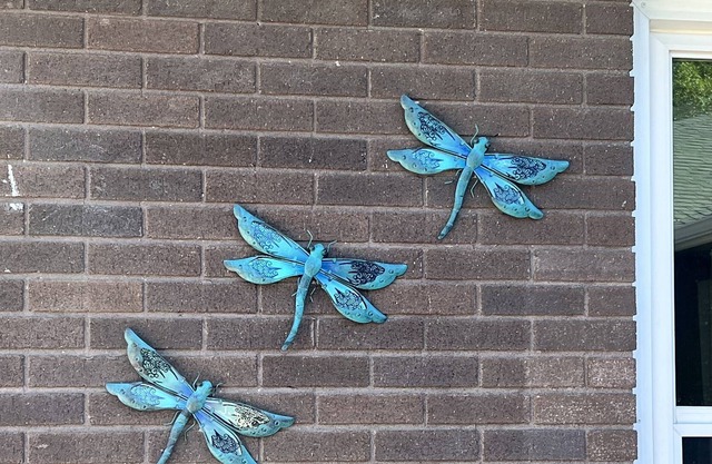 Family Fun at a Great Price!