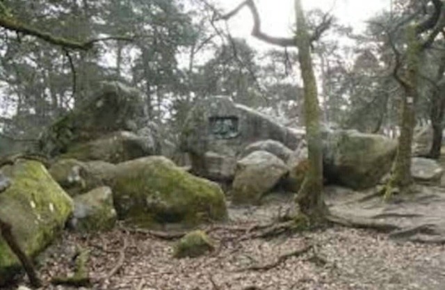 Family house in center village near Forest