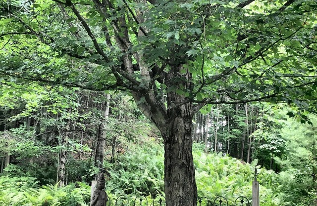 Family Winter House in the ❤️ of the Eastern Townships