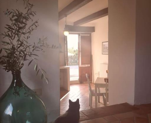 Fantastic Apartment in the Heart of Toscana