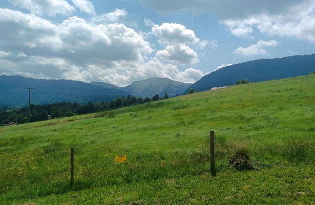 Fantastic view in a quiet location