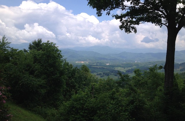 Fantastic Views, Excellent Location! 3 Bdrms At A Great Price!