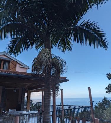 Fantatic Holiday House