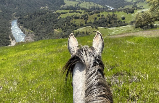 Farmhouse near American River