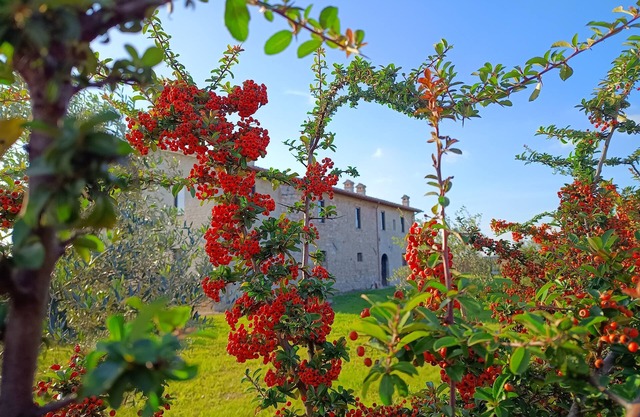 Farmhouse The Canticle of Tenderness