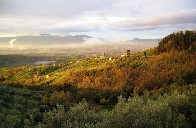 Fattoria di Petrognano, your B&B quadruple room