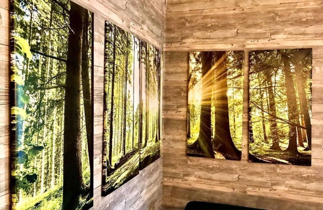 Favorite piece of modern retreat