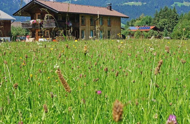 Ferienhaus Dahoam - Ferienhaus "Dahoam"