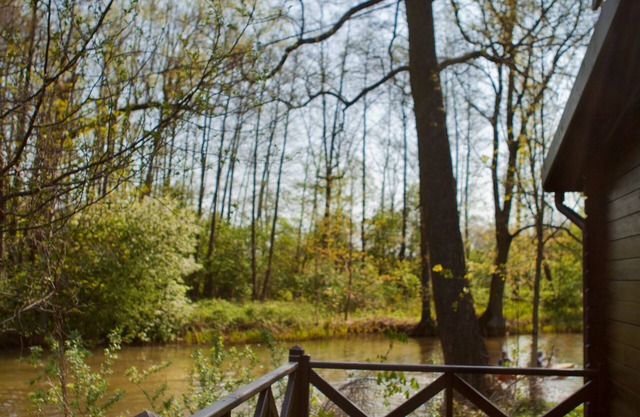 Ferienhaus für 4 Gäste mit 40m² in Lübbenau/spreewald