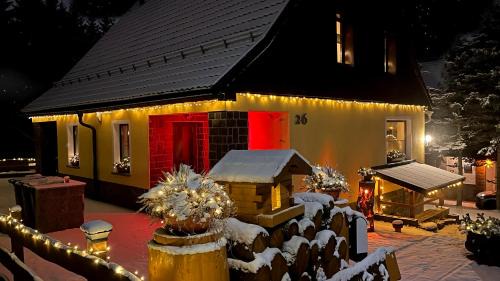Ferienwohnung-direkt-am-Skihang mit Sauna
