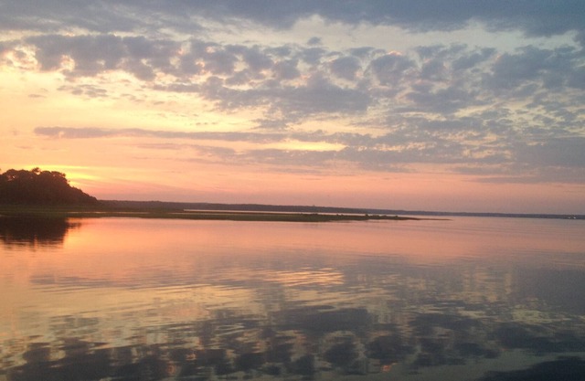 Ferry Tickets Available! Charming/Pet Friendly Cottage in Edgartown