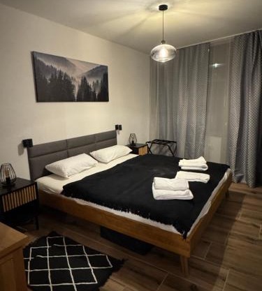 FeWo im Kurhotel in Schluchsee Apartment Black Forest mit Balkon Indoorpool Tiefgaragenstellplatz
