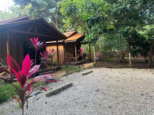 Finca Avellanas