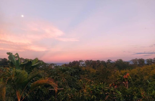 Finca los Martinez - Tamesis - Vereda San Isidro